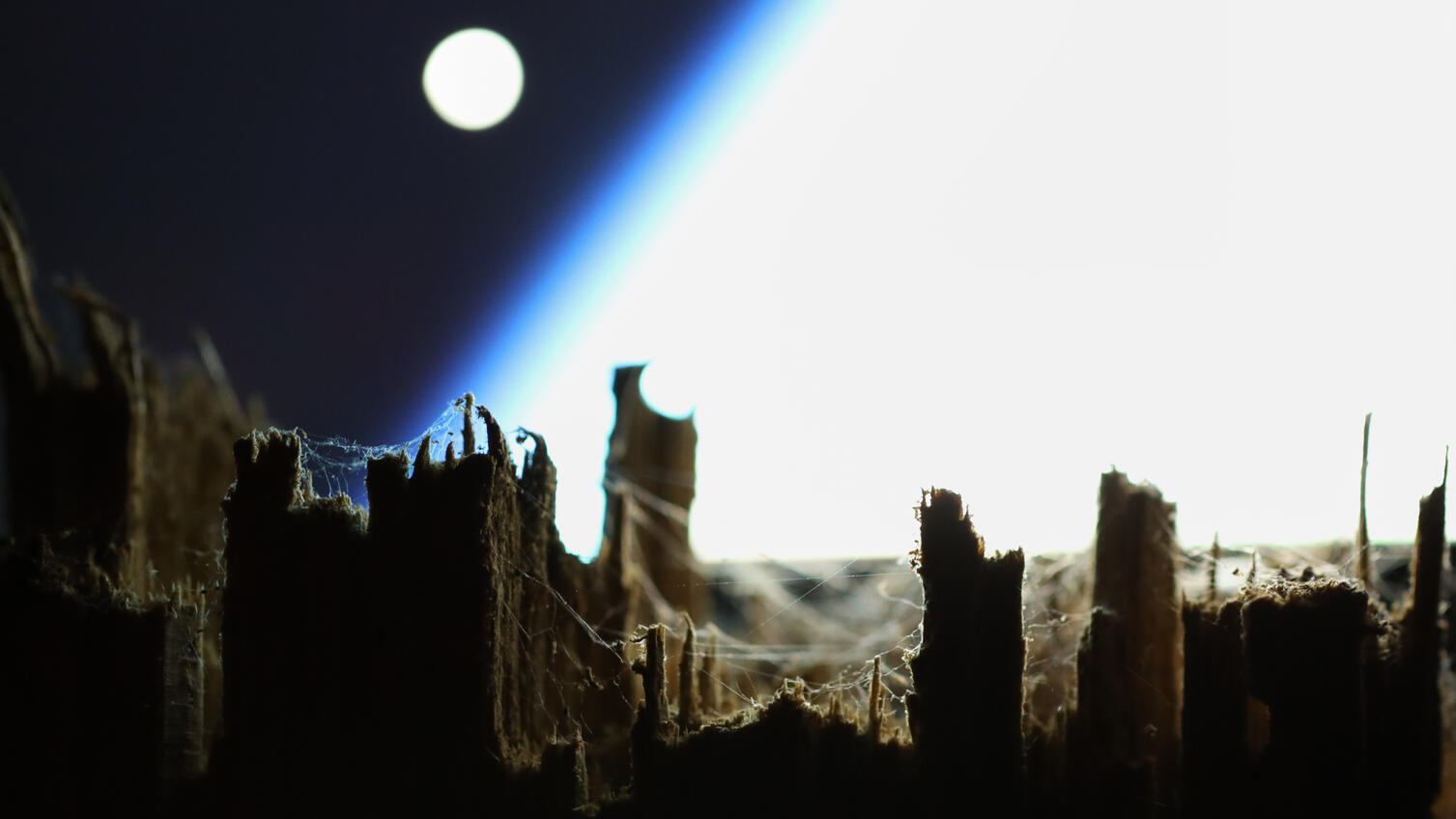 Space wood