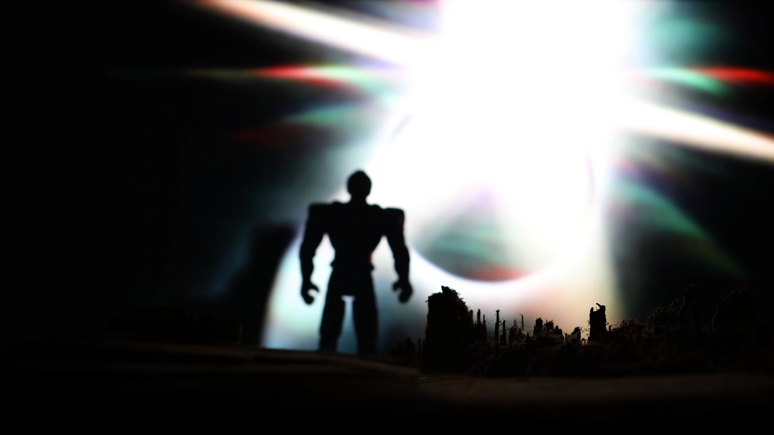 Spacewood — Gallery 2