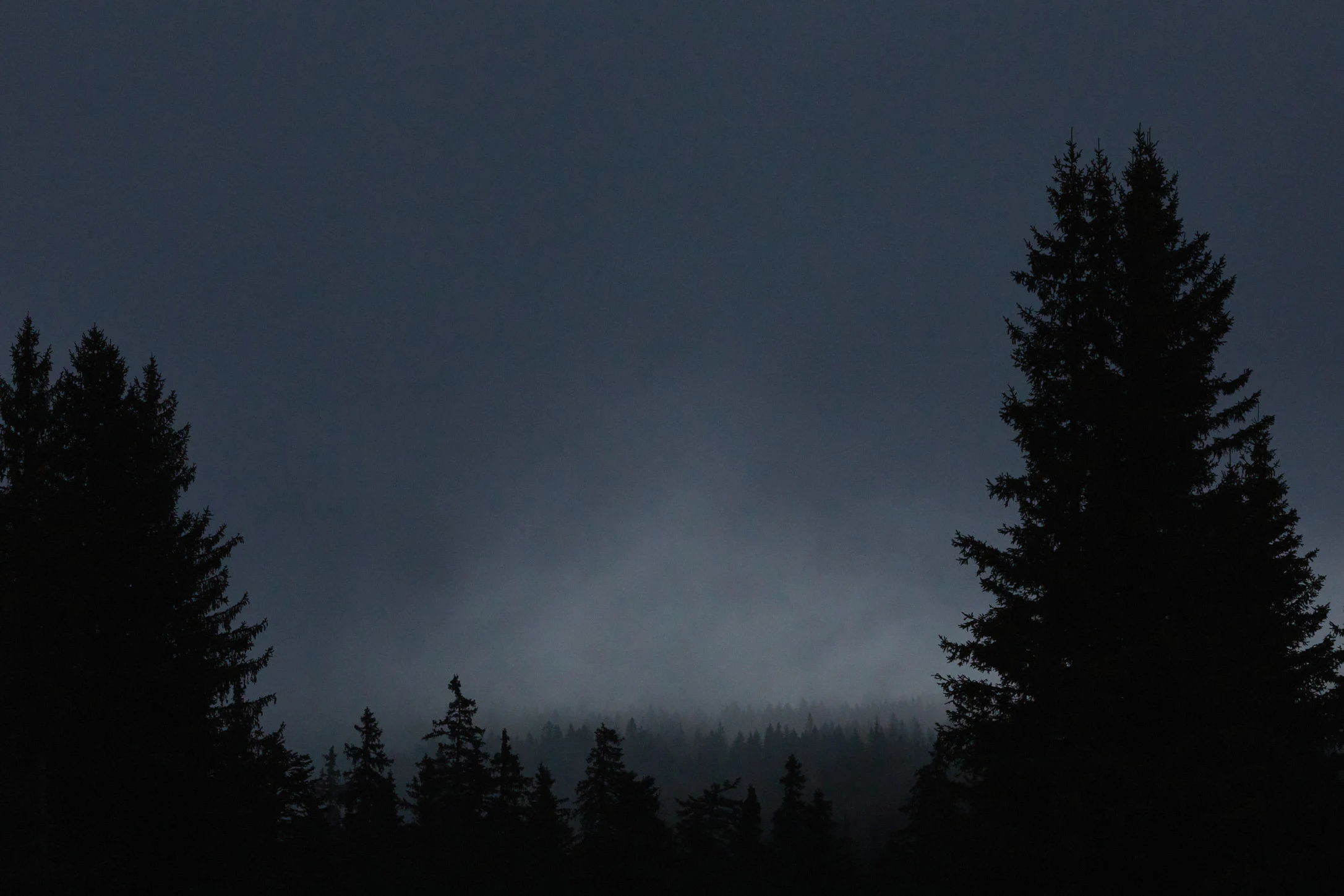 Nature — Vercors & Mountains — Gallery 5