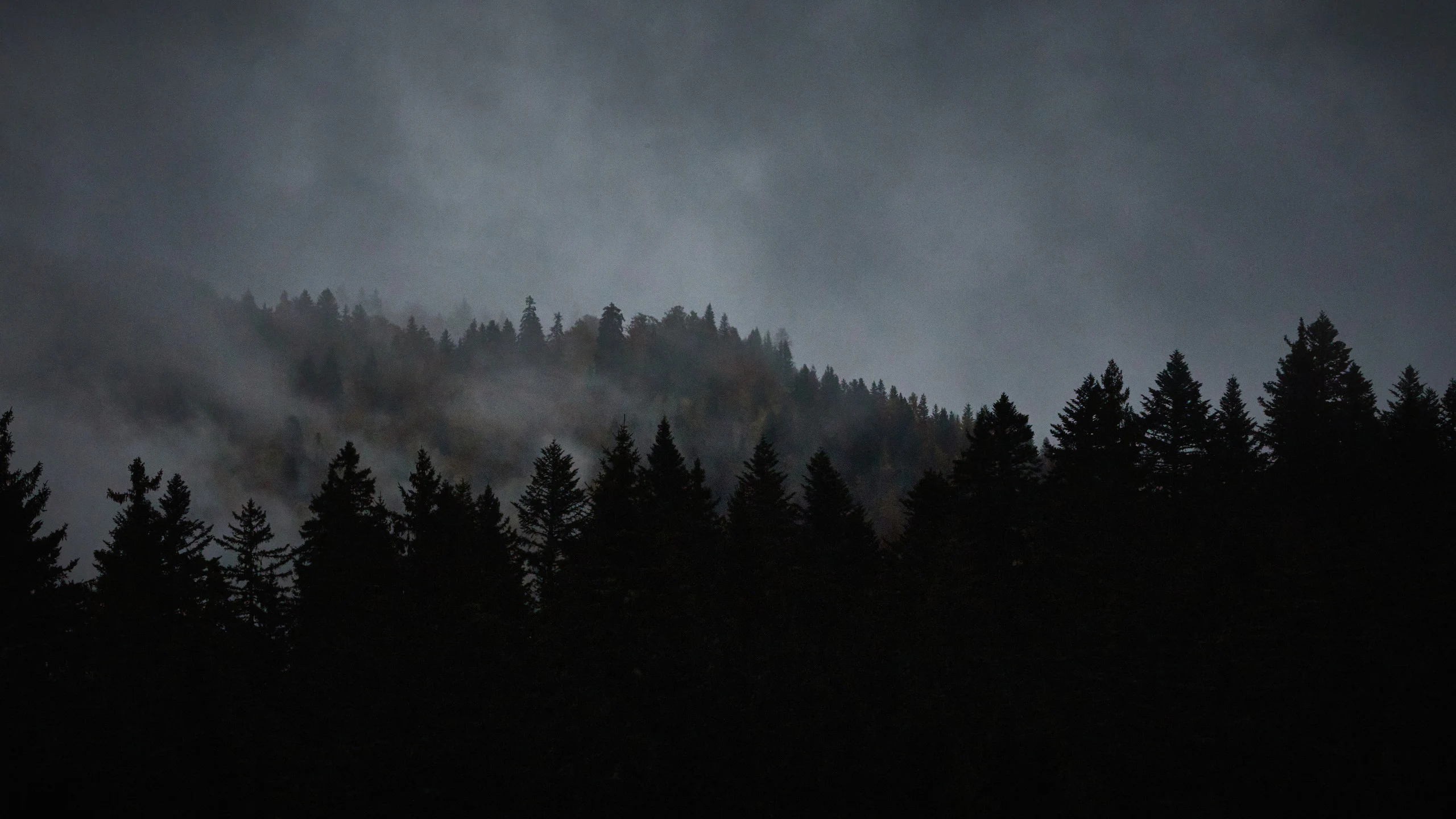 Nature — Vercors & Mountains — Gallery 4